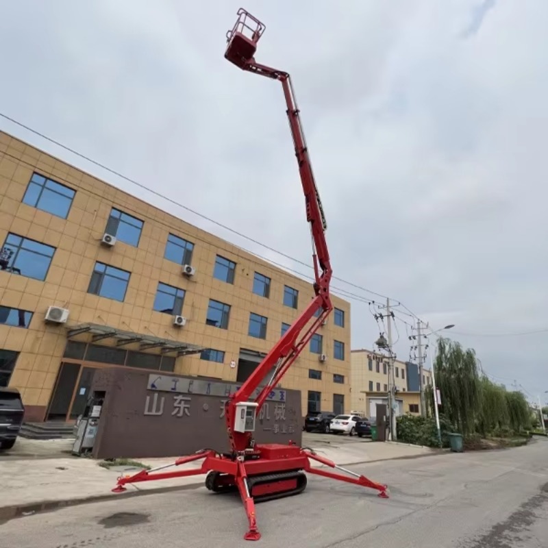 Compact Crawler Boom Lift - YG Op maat gemaakte 12m Briggs