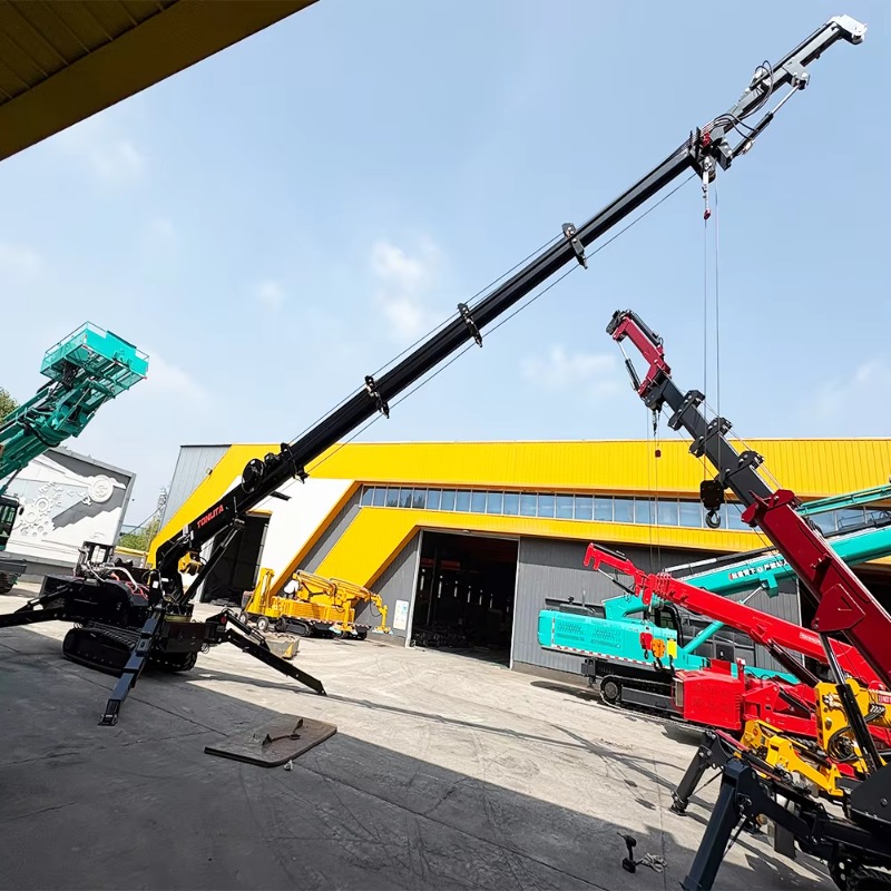 Aangepaste kraan 10 12 14 16 t - Compact Crawler Boom Lift recensie en prijs