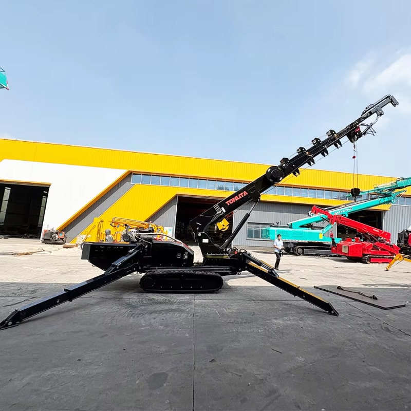 Aangepaste kraan 10 12 14 16 t - Compact Crawler Boom Lift recensie en prijs